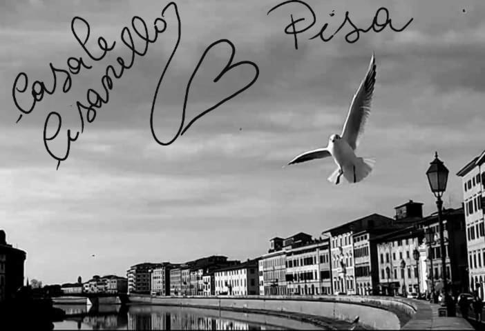 Casale Cisanello Hotel Pisa Luaran gambar